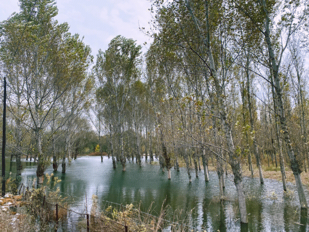 大悟三塔寺水库图片