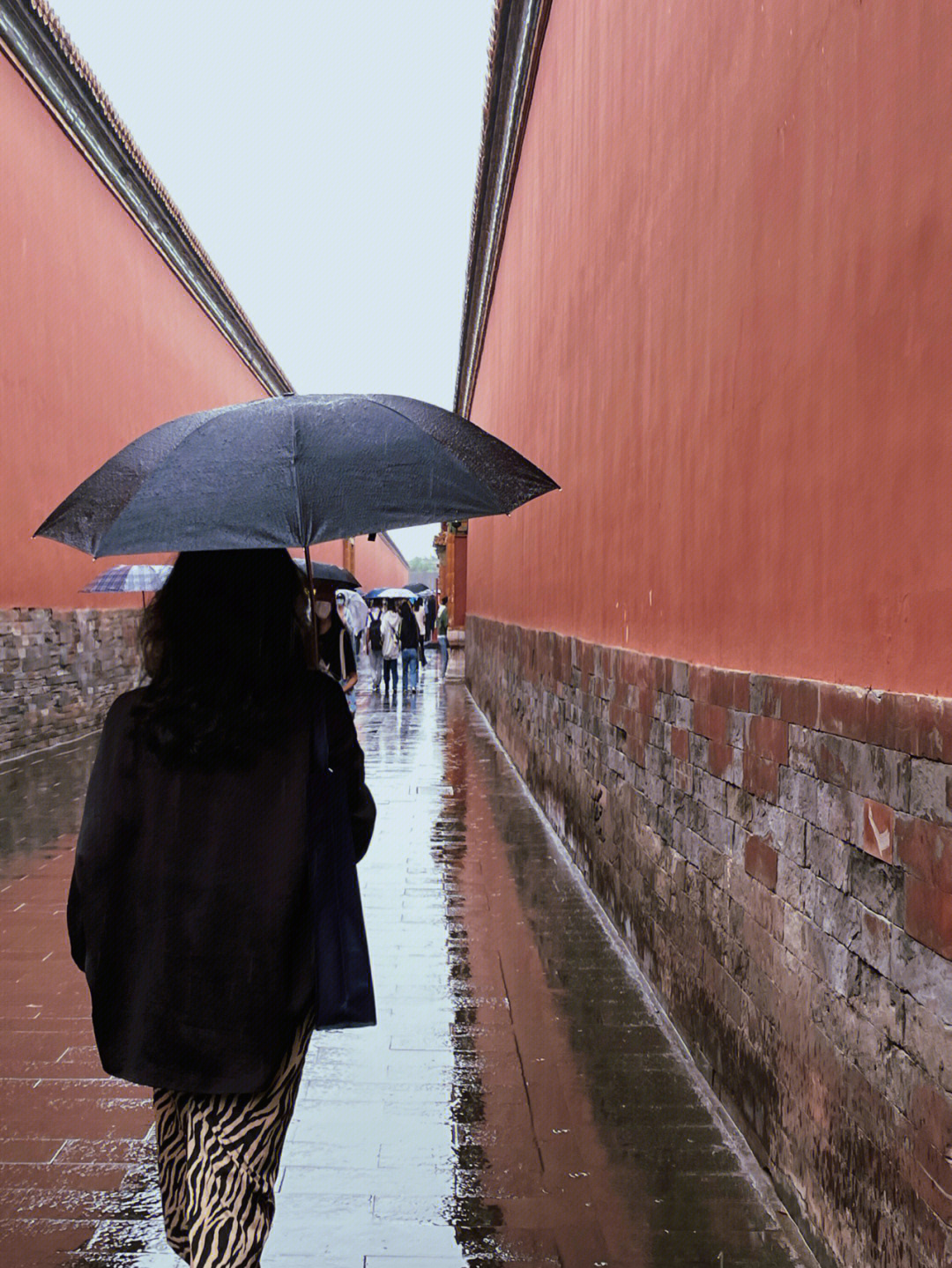 下雨的故宫