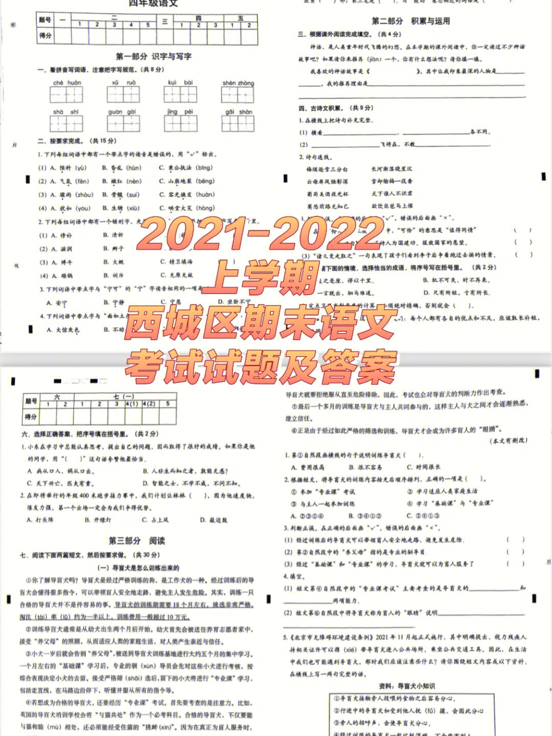 宋小睿成绩单 期末图片