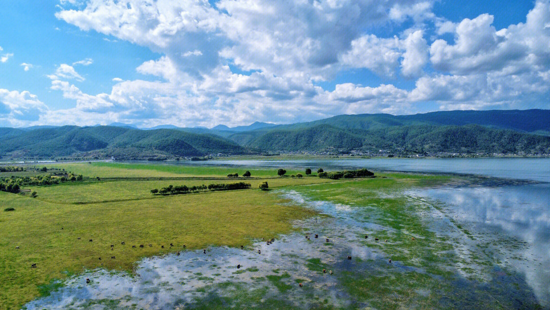 免费的拉市海湿地|丽江 秘境小众