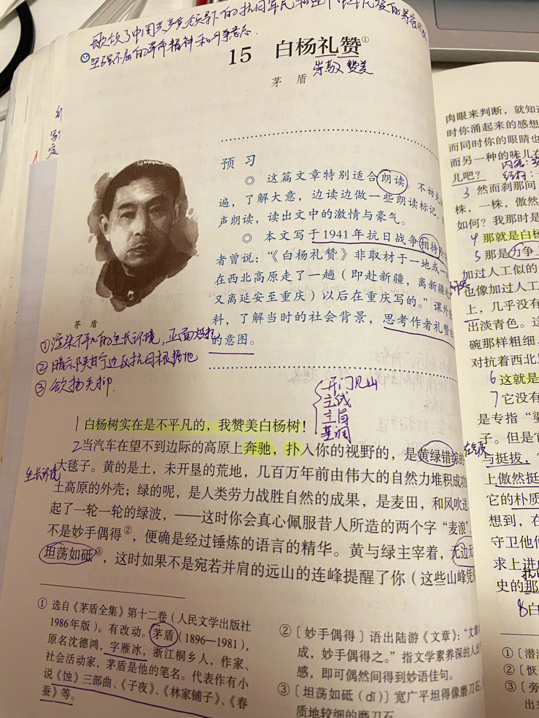 荷叶母亲课文结构图解图片