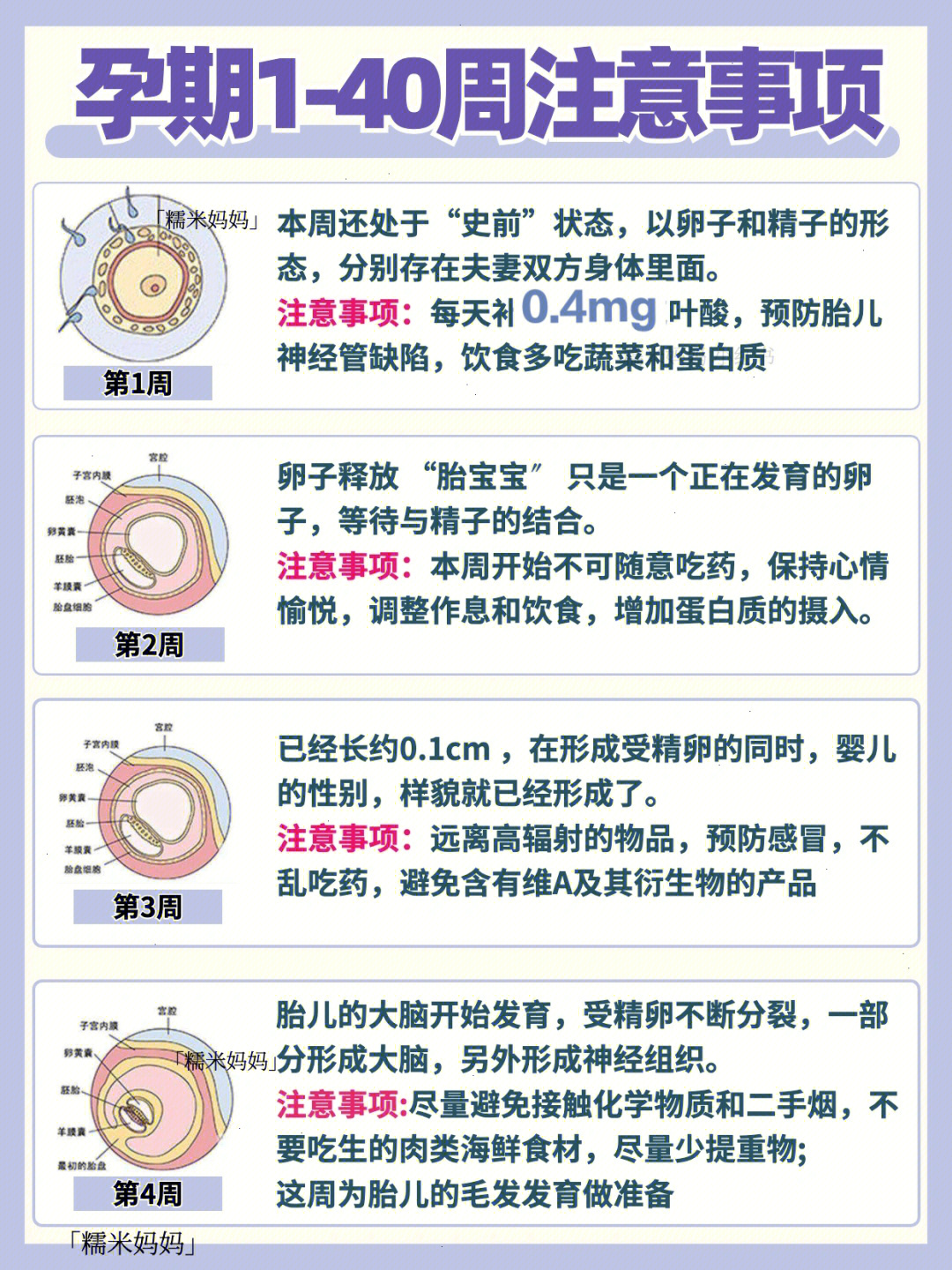 胎儿发育图孕期140周注意事项77产检时间