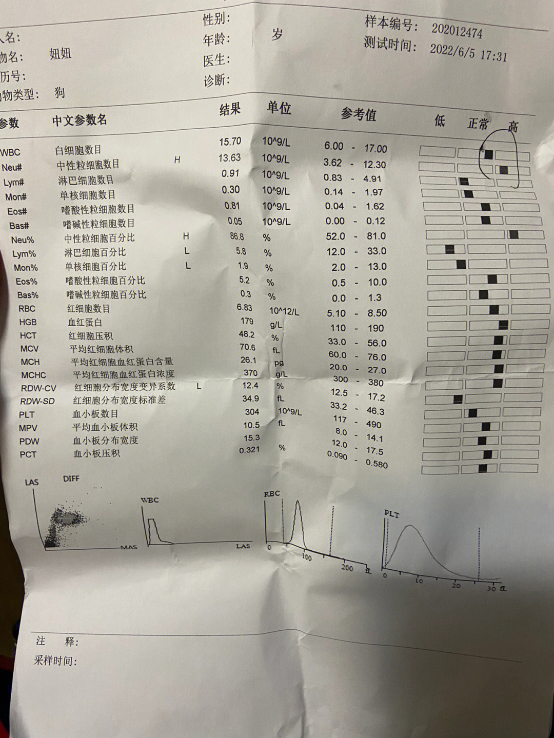 胰腺炎怎么检查图片