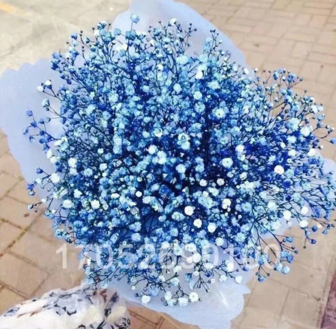 蓝色满天星花语花束图片