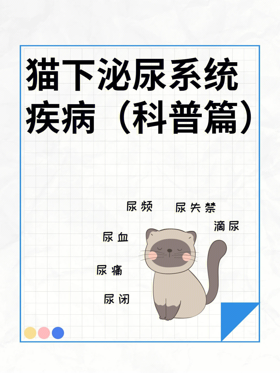猫下泌尿系统疾病|尿血,尿频,尿闭等