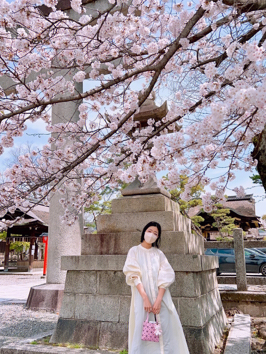 皮卡堂樱花神社婚纱照图片