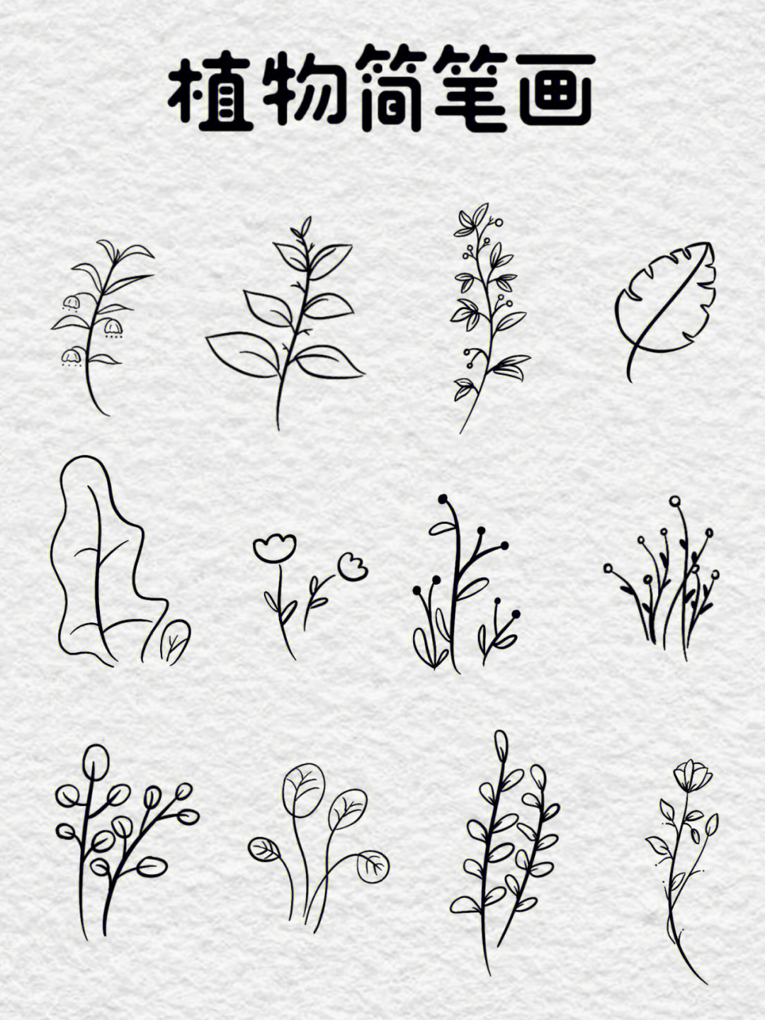 复杂简笔画 植物图片