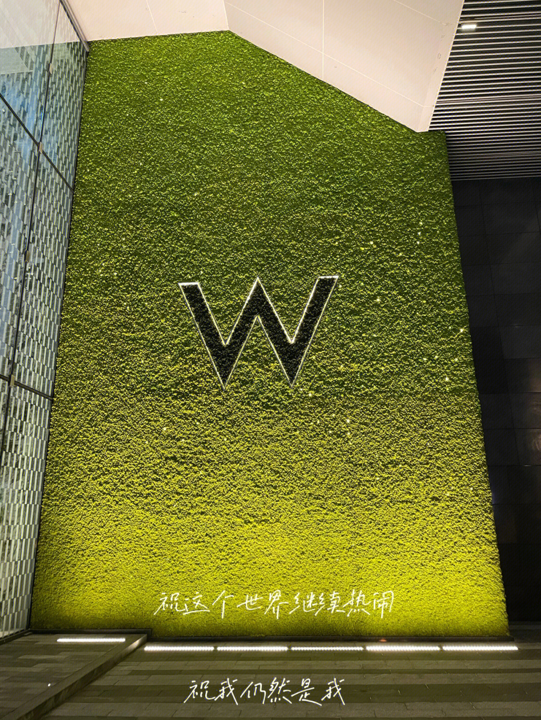 成都w酒店logo图片