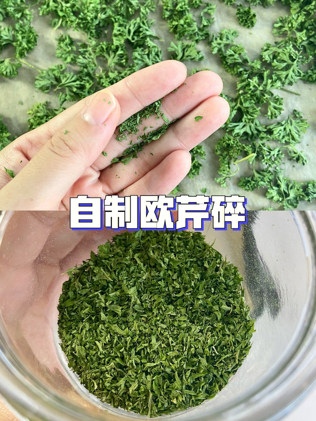 欧芹碎是什么东西图片