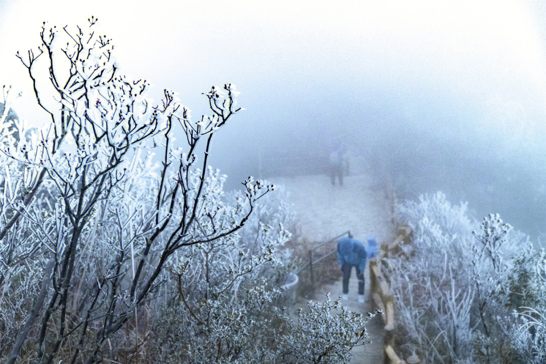 广州清远下雪图片