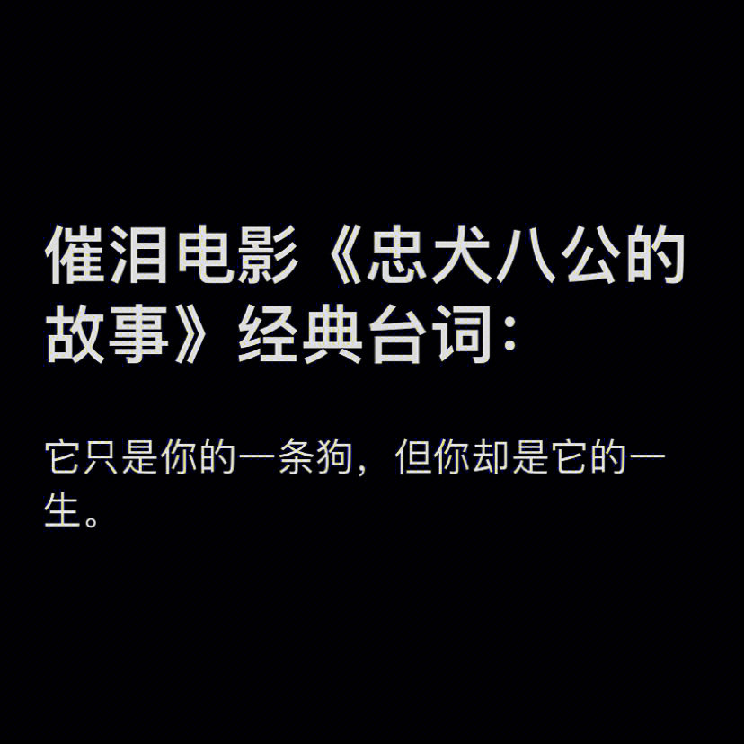 催泪电影《忠犬八公的故事》经典台词:98它只是你的一条狗,但你却是