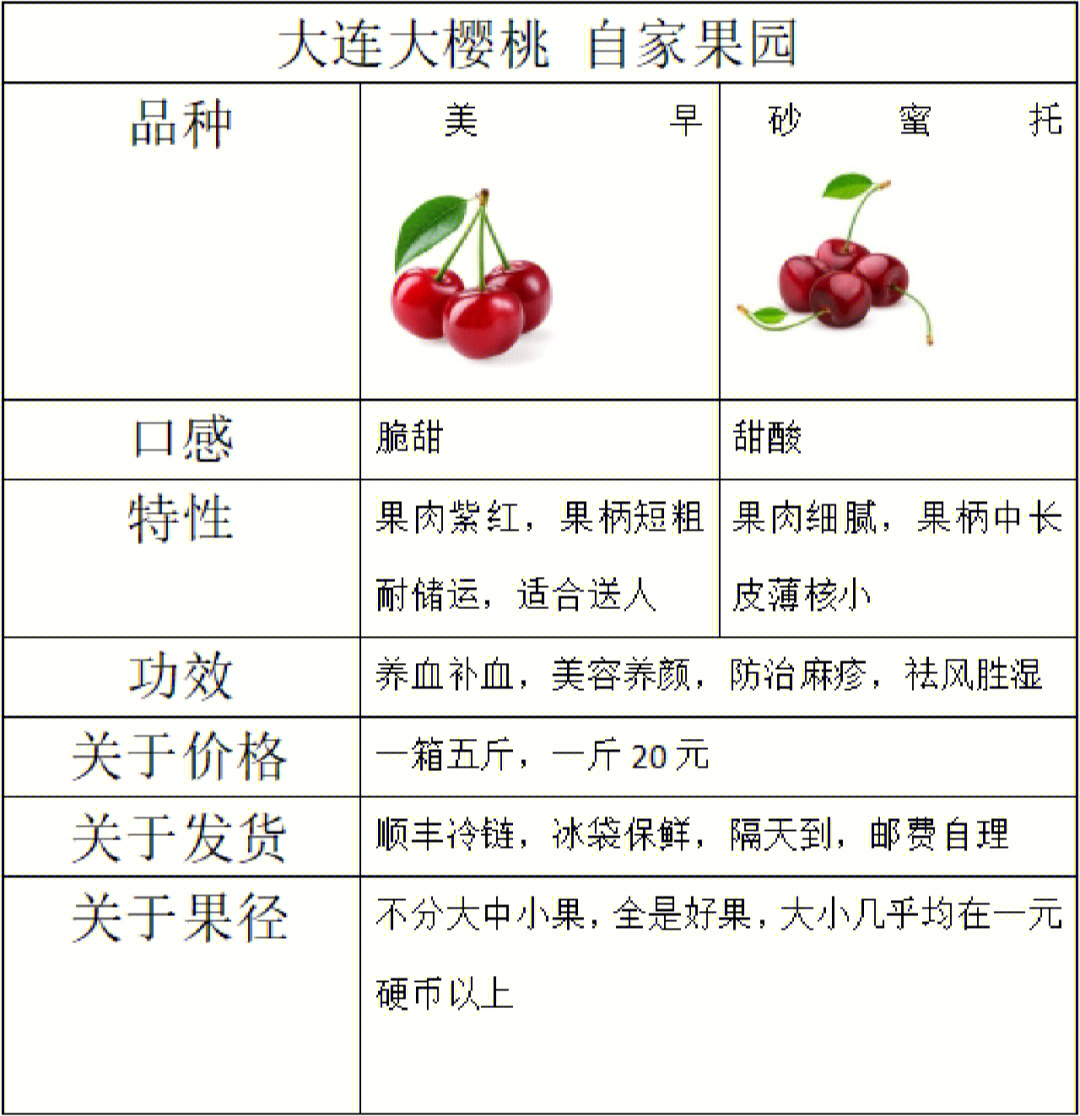 沙王大樱桃需冷量图片