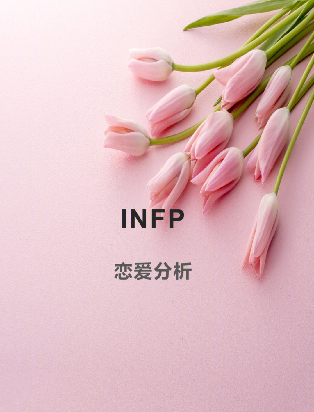 intp intj恋爱图片