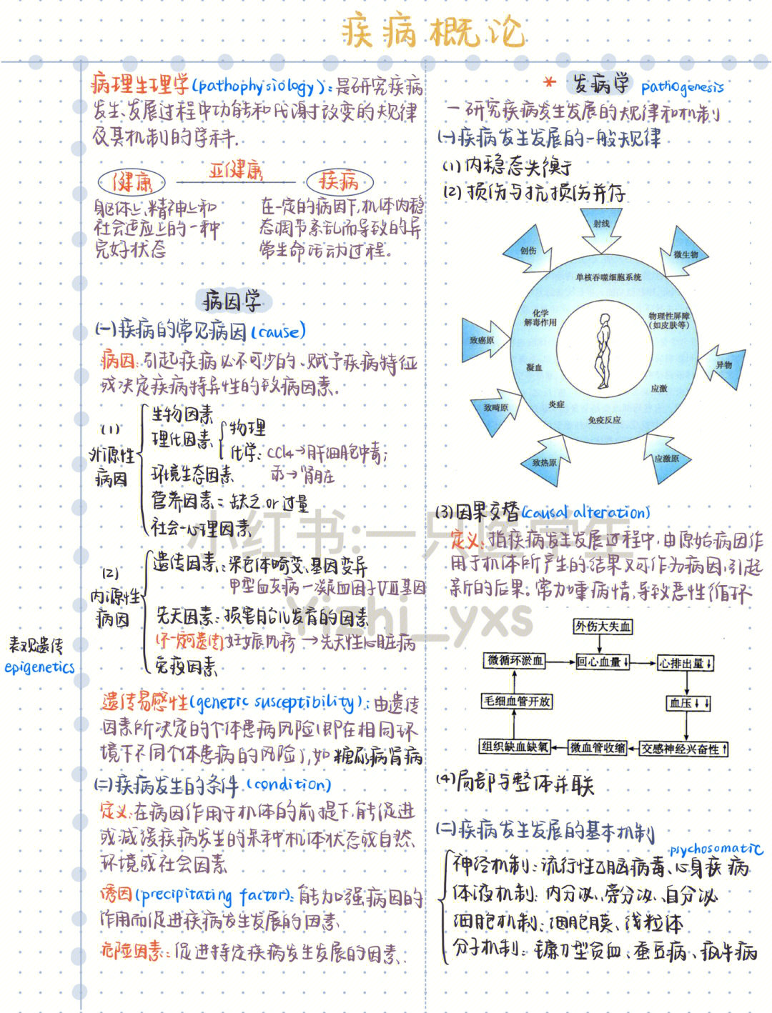 钾代谢紊乱思维导图图片