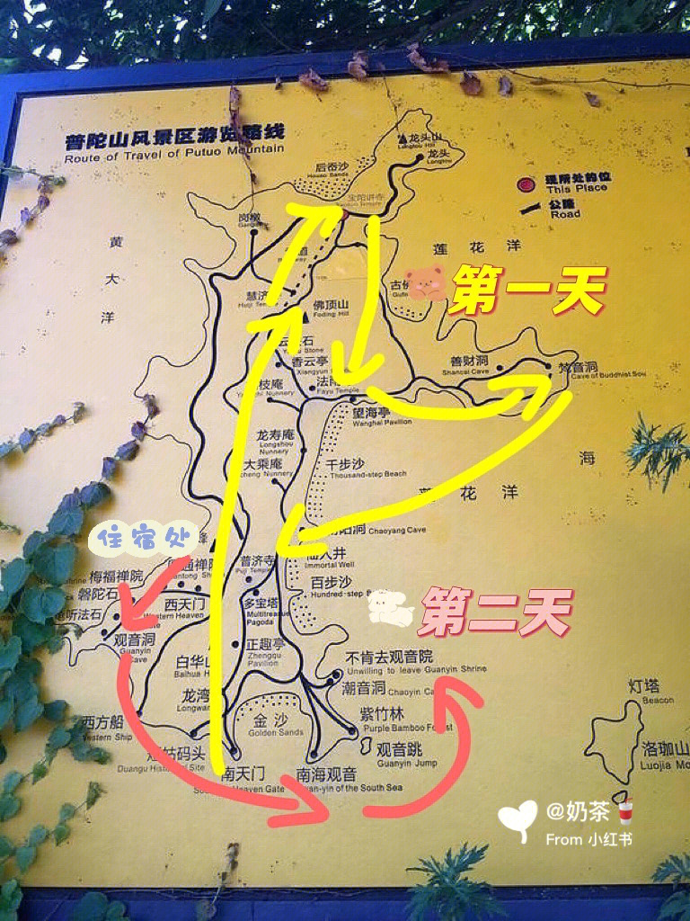 普陀山旅游巴士路线图图片