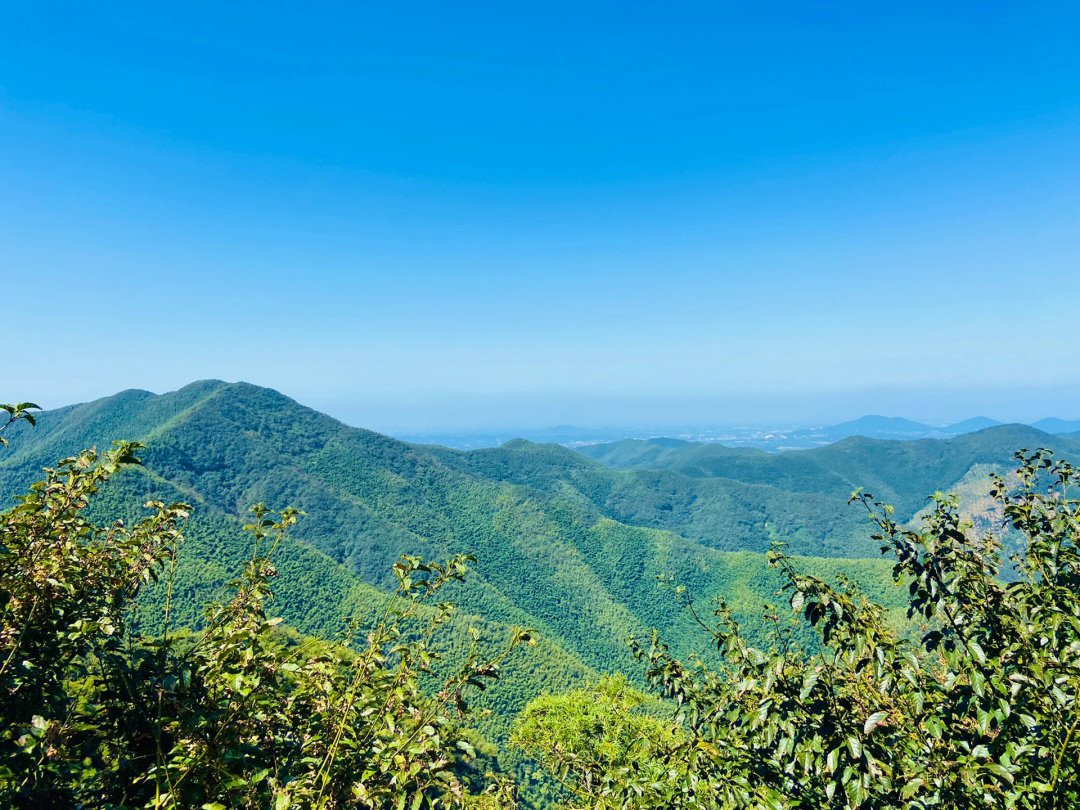 宜兴竹海风景区