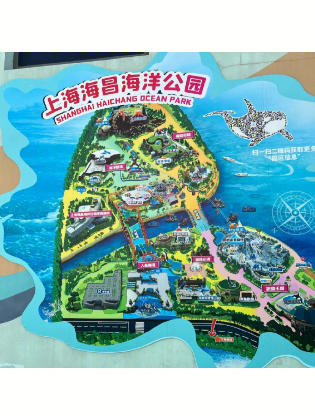 上海海昌海洋公园介绍图片
