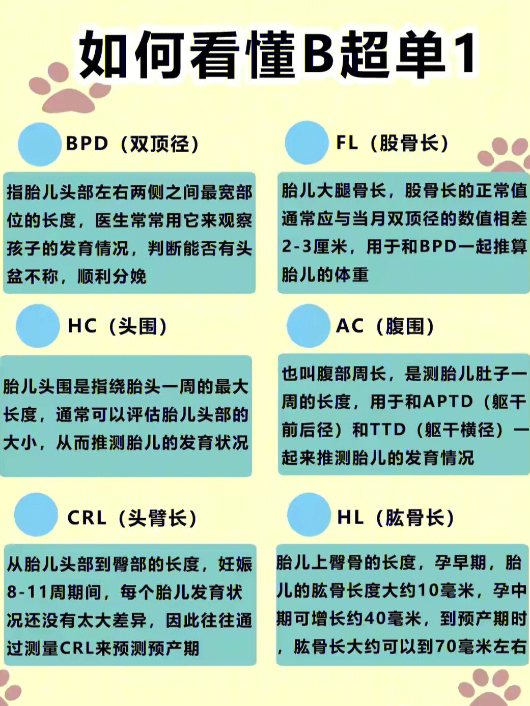 胎儿生长指标HL图片