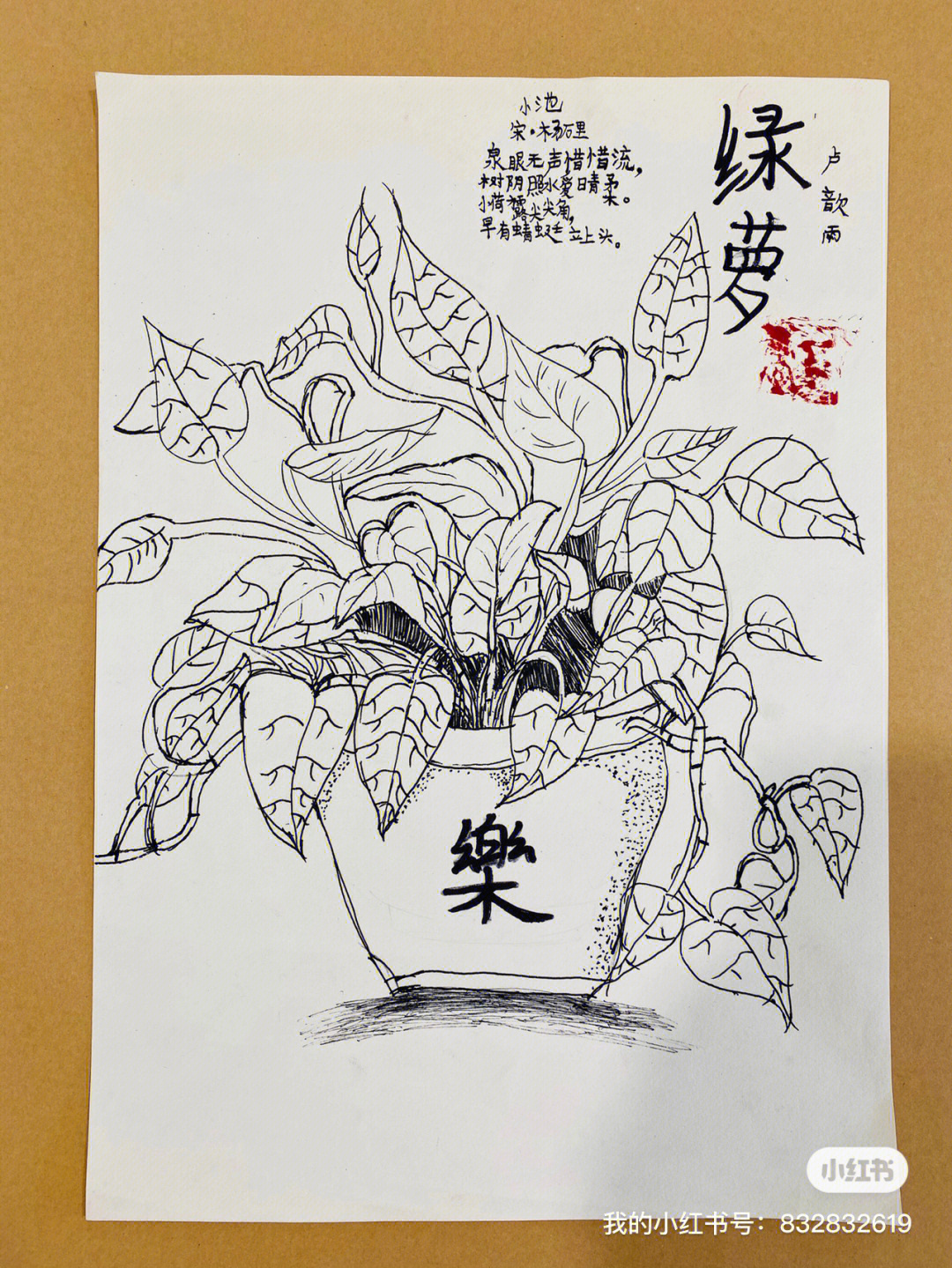 植物写生线描画绿萝图片