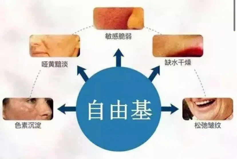 自由基到底是怎么对人体产生危害的