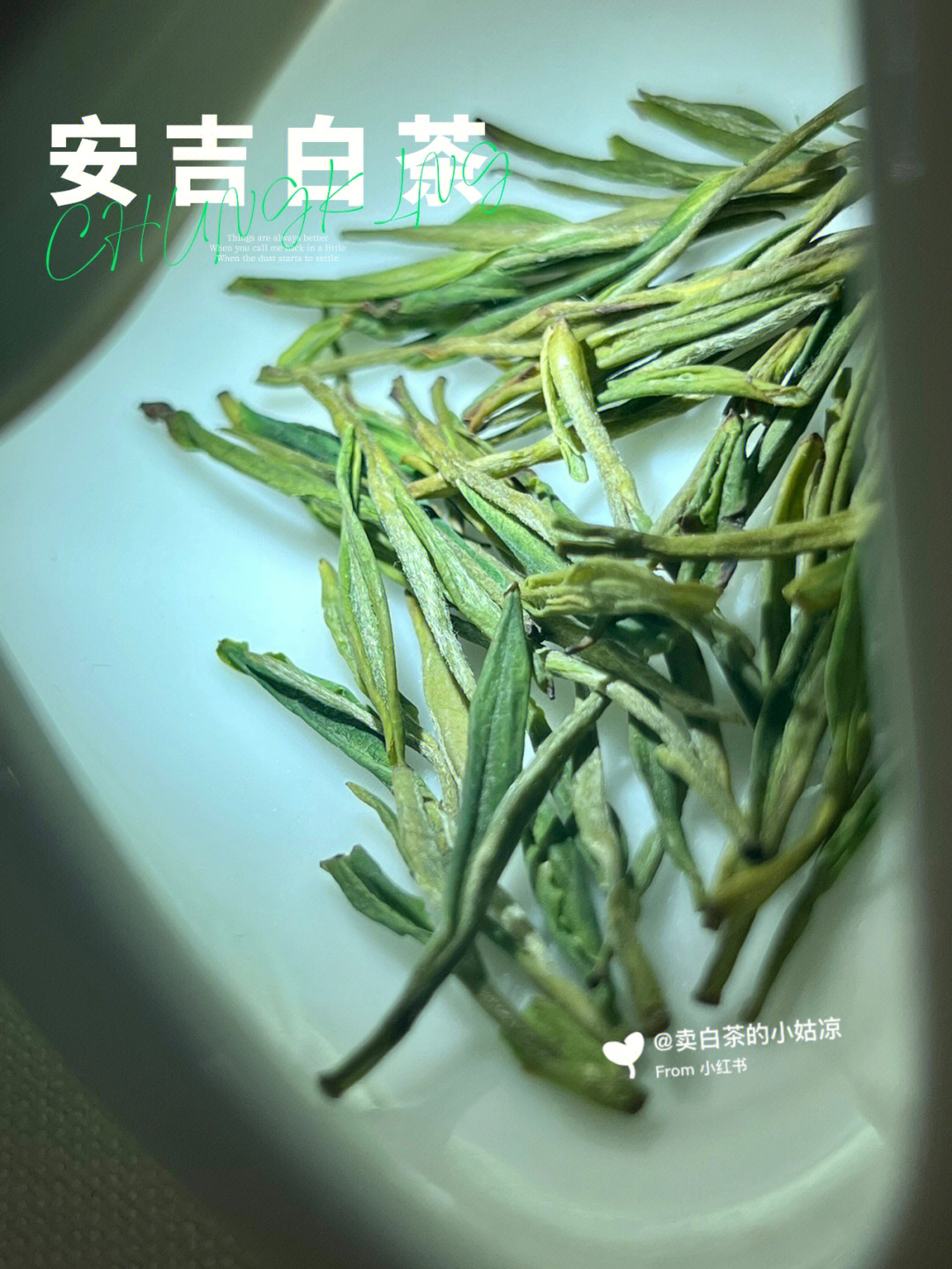 欢迎咨询哦#安吉白茶#茶叶#茶饮#原产地安吉白茶#茶#泡一壶