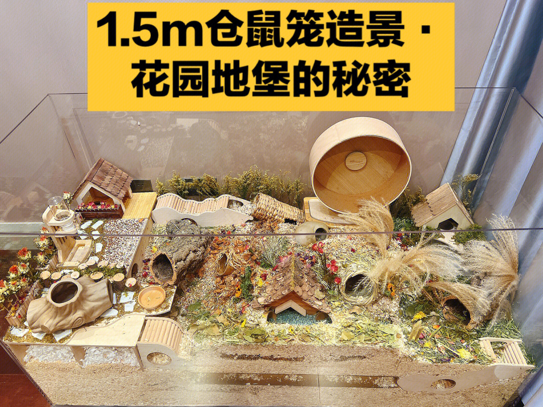 15m仓鼠笼造景花园地堡的秘密材料包78