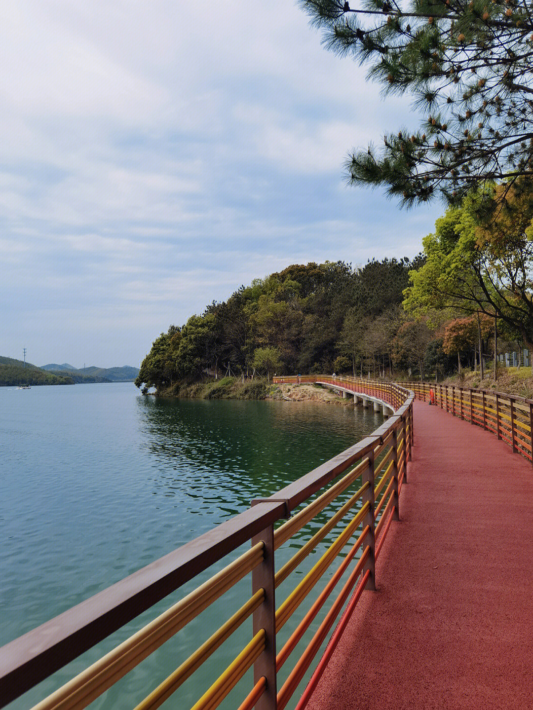 九龙湖湿地公园图片