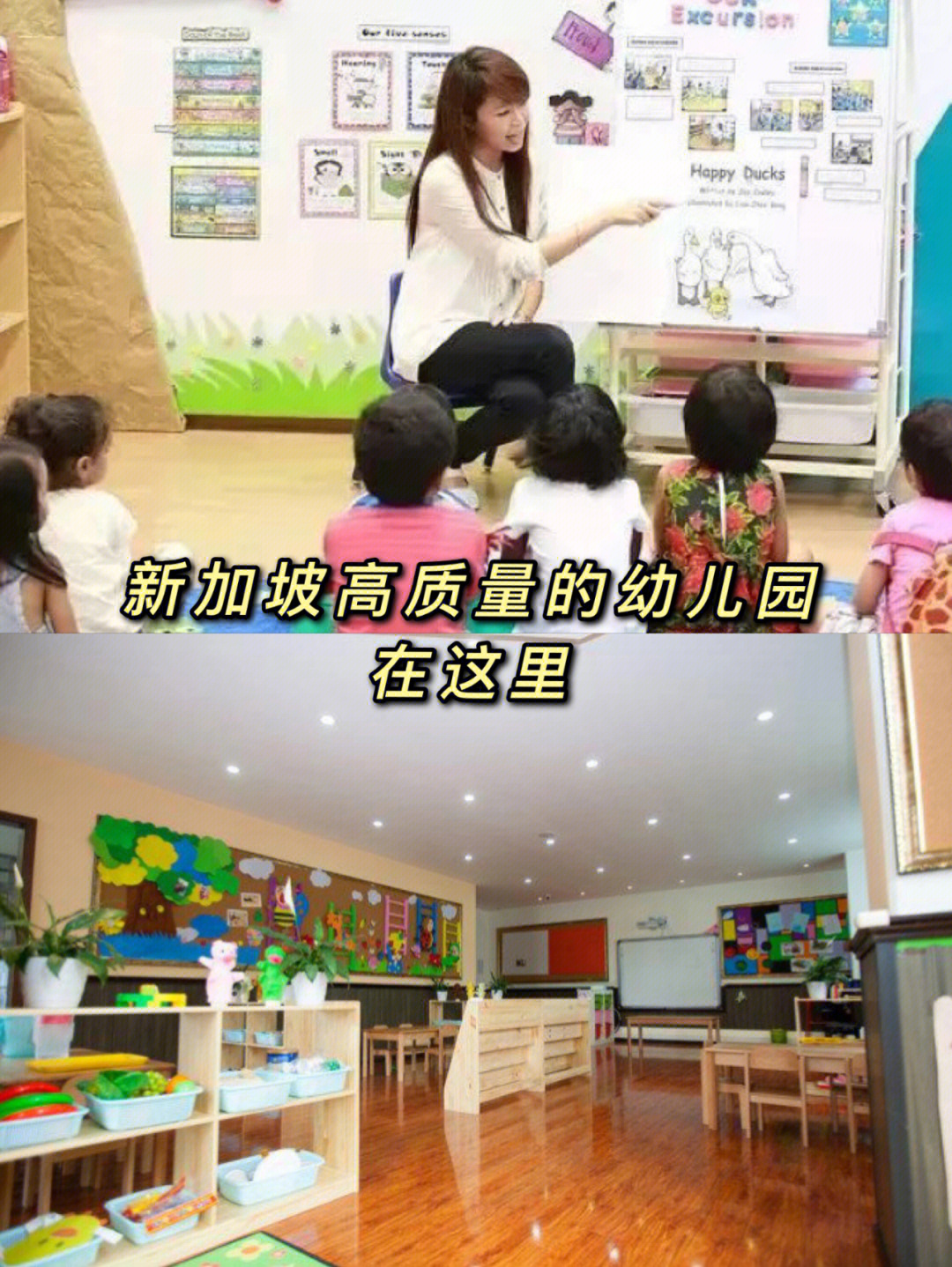 新加坡南洋幼儿园图片