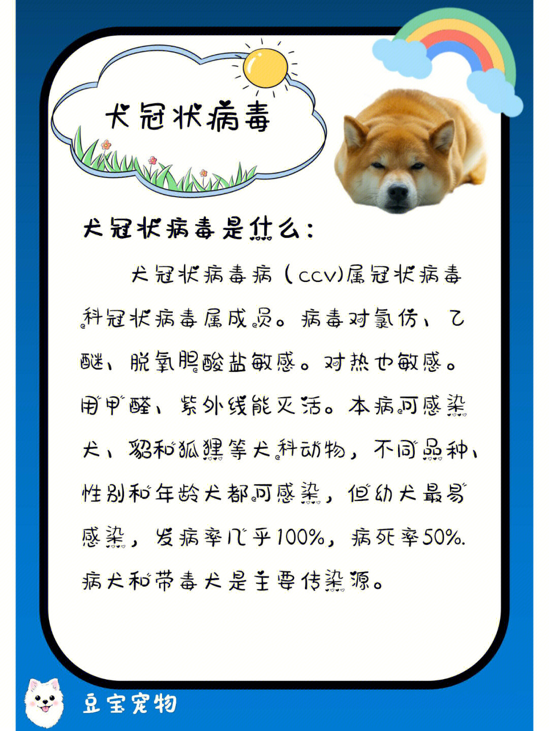 豆宝小课堂犬冠状病毒大科普