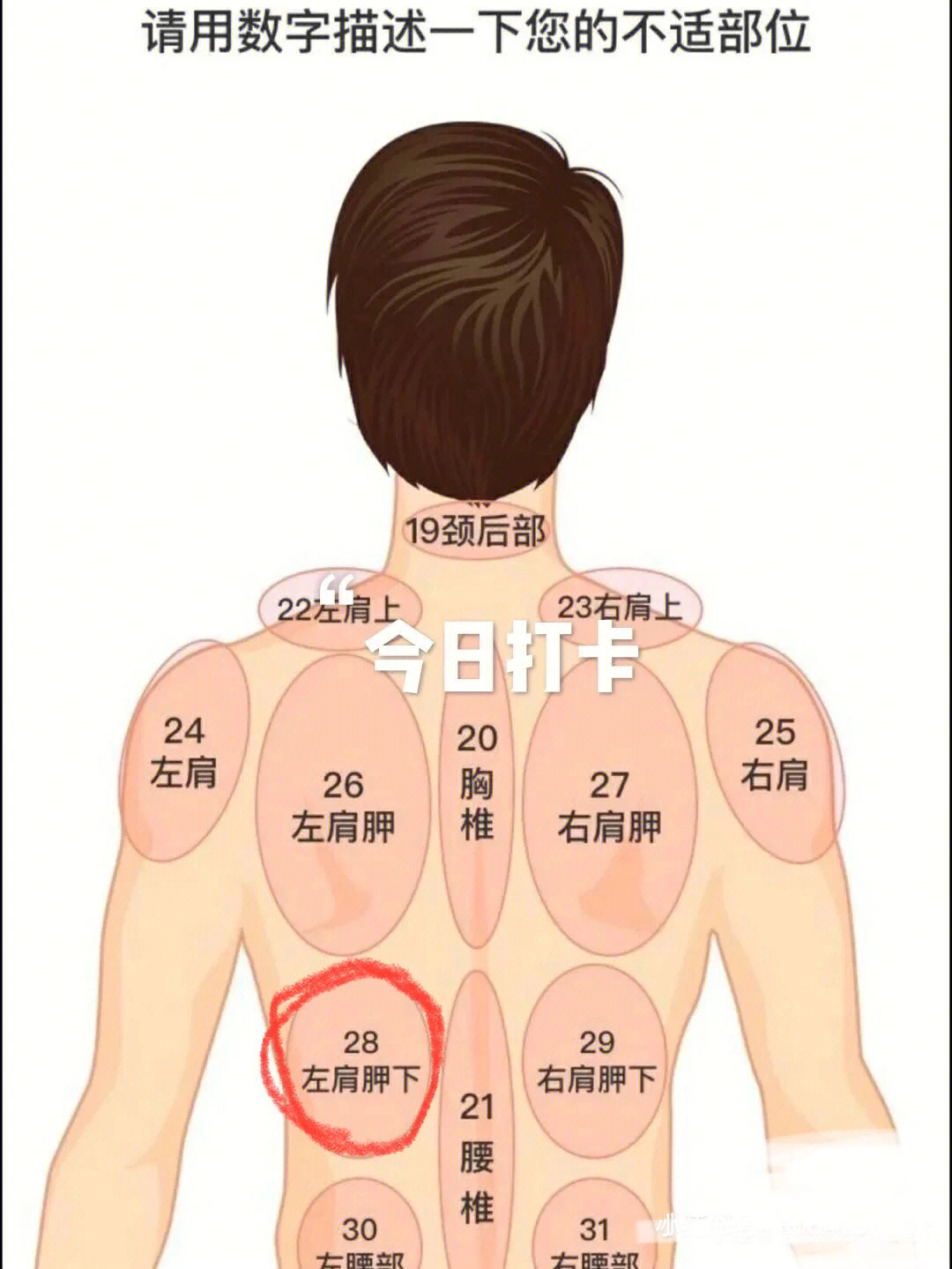 背痛位置图图片