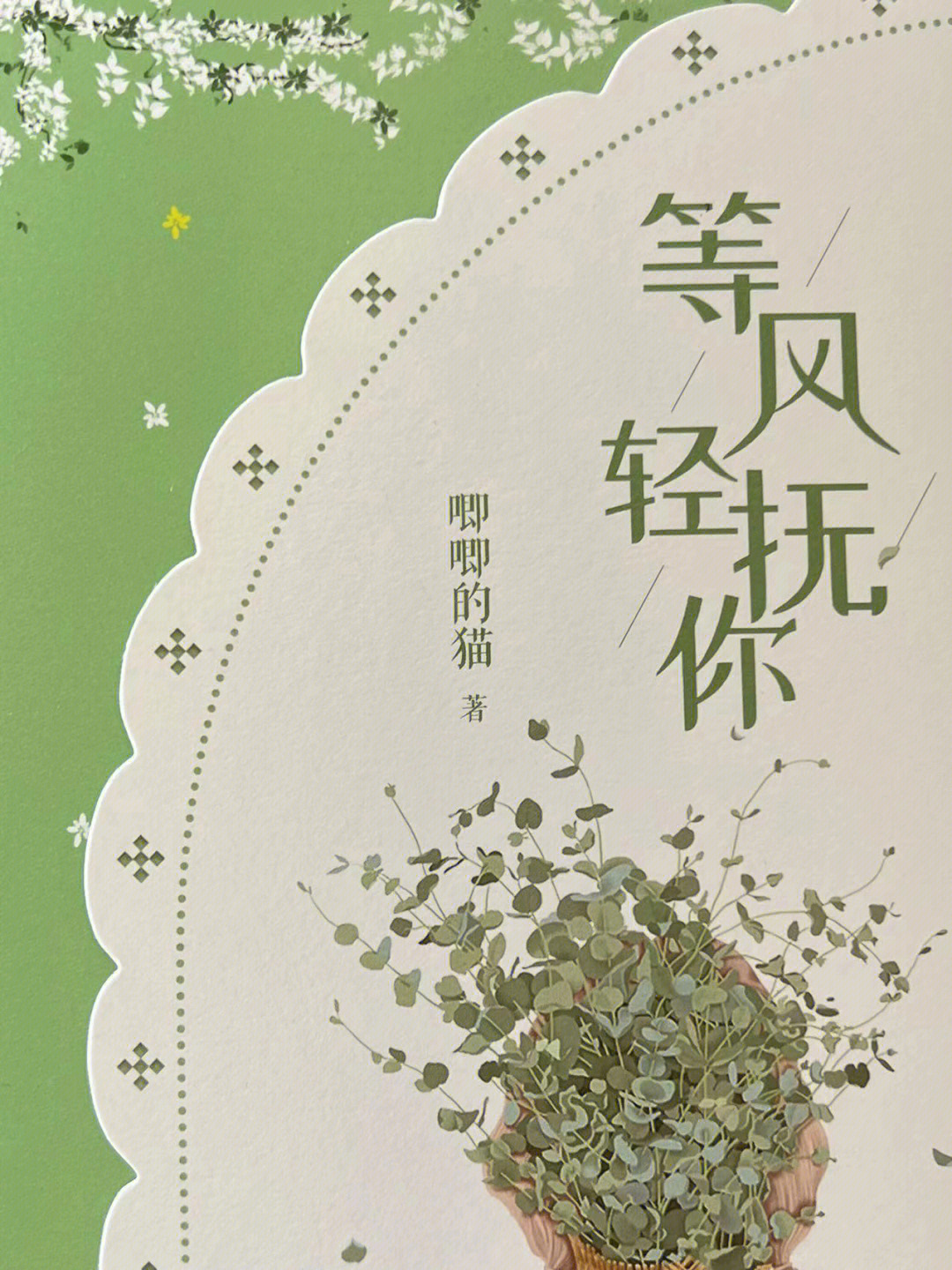 许星纯简介图片