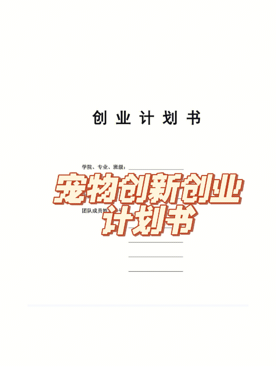 创新创业计划书丨宠物店