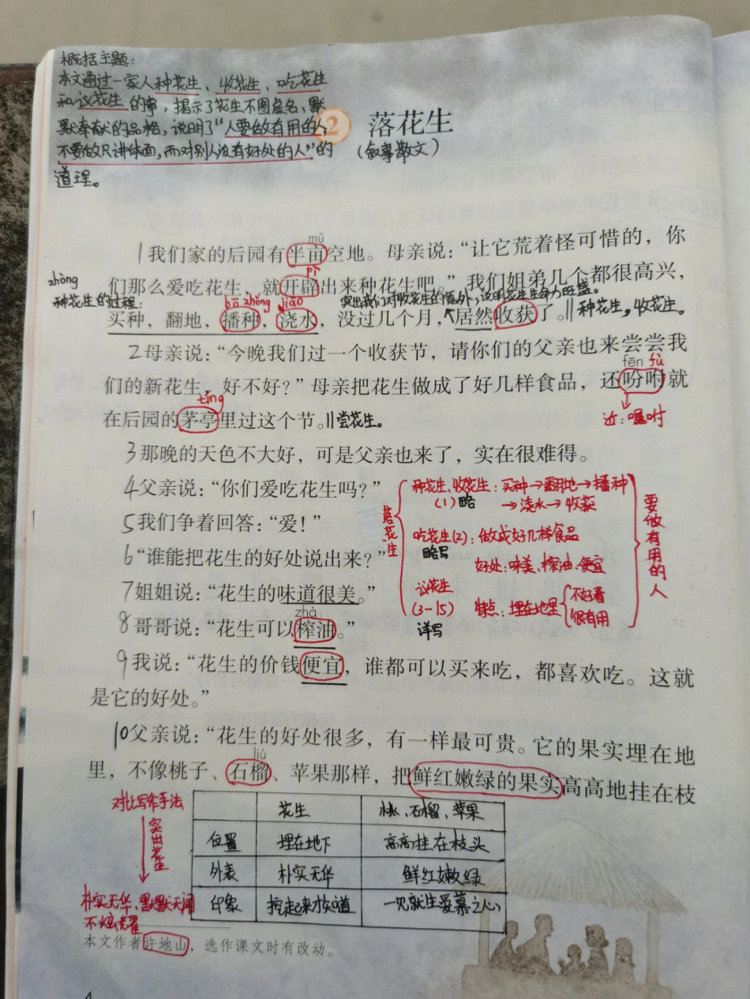 落花生生字笔记图片