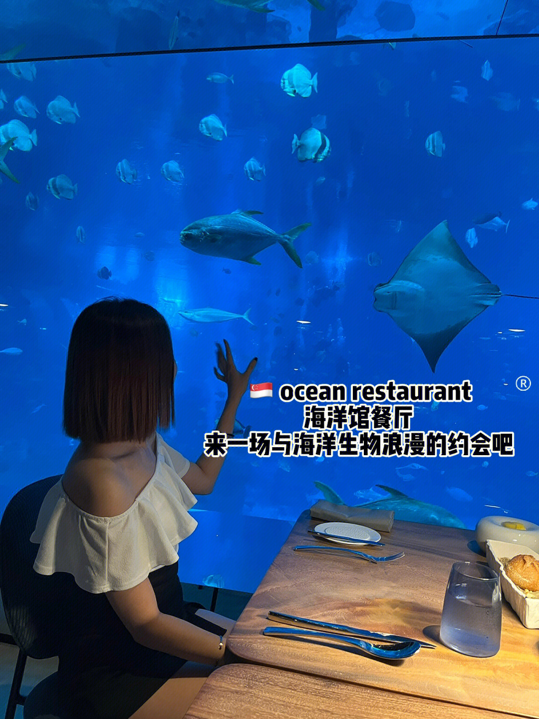 湛江海洋世界饭店图片图片