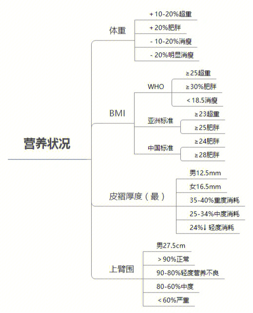 基护思维导图