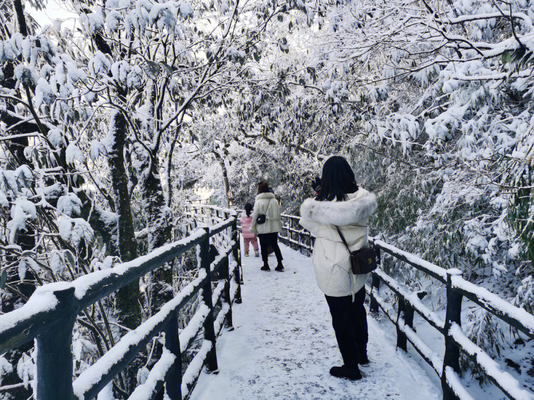 合川铜梁山图片