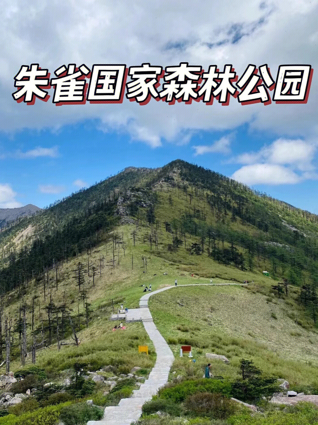 朱雀国家森林公园旅行指南