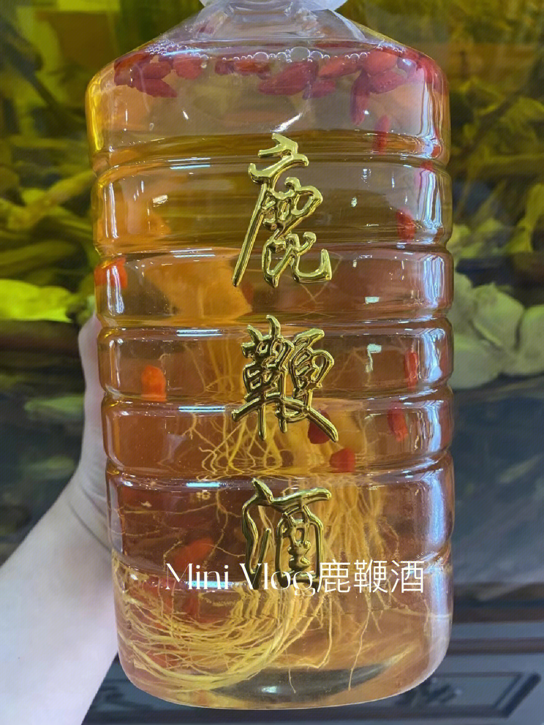 干鹿鞭泡酒步骤图片