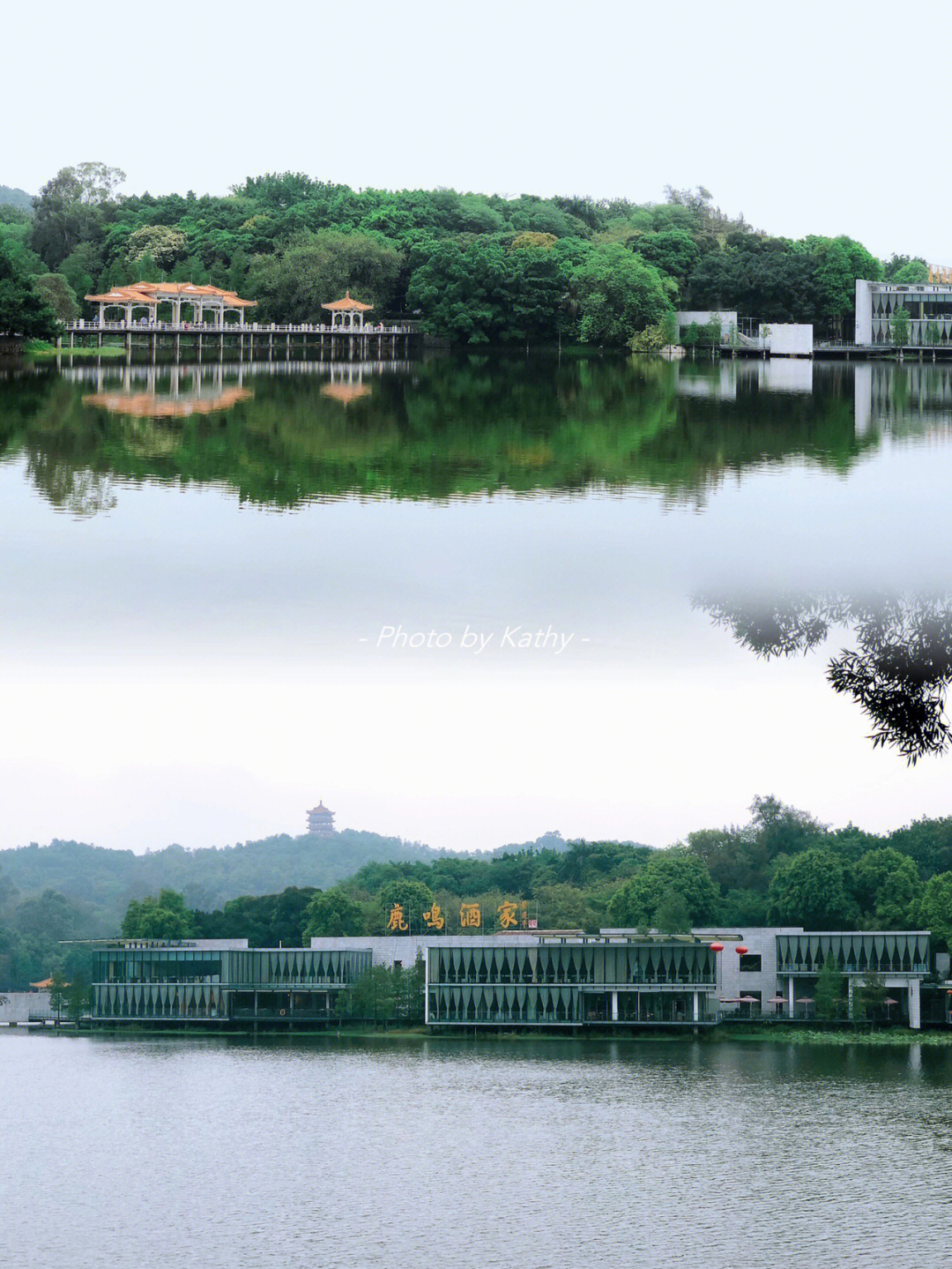 广州大型人工湖之一,园林里鸟语花香绿树成荫空气清新,闹市里的天然