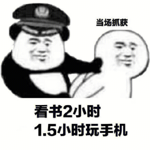 当场逮捕系列表情包图片