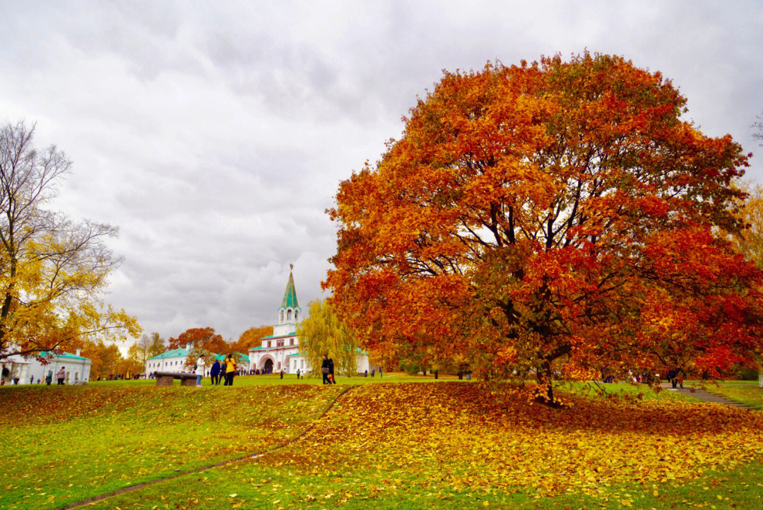 圣彼得堡的秋天图片