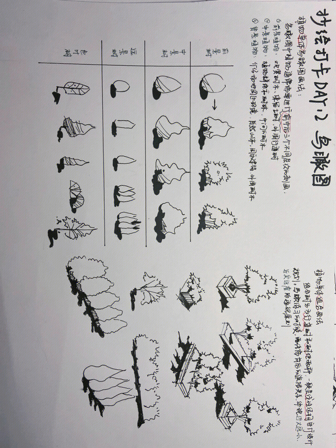 植物群落平面图手绘图片