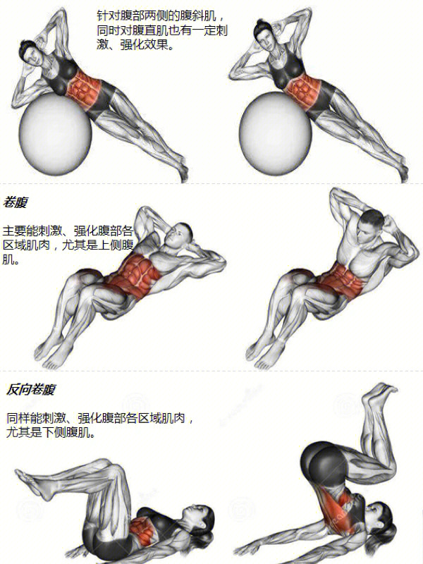 腹肌拉伸动作图解图片