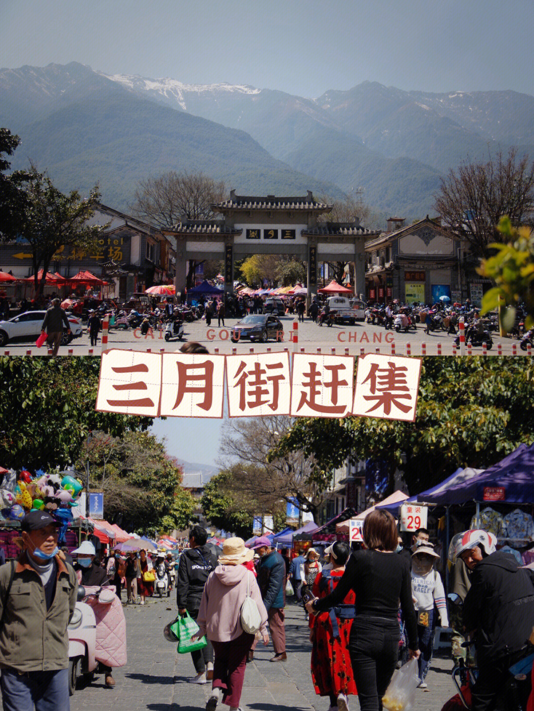 大理旅居三月街赶集感受当地人生活氛围