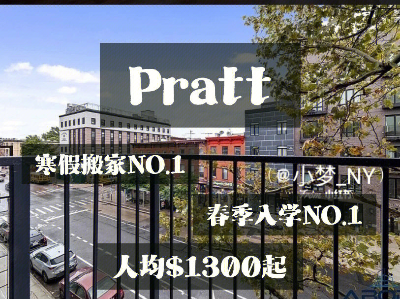 pratt试验图片