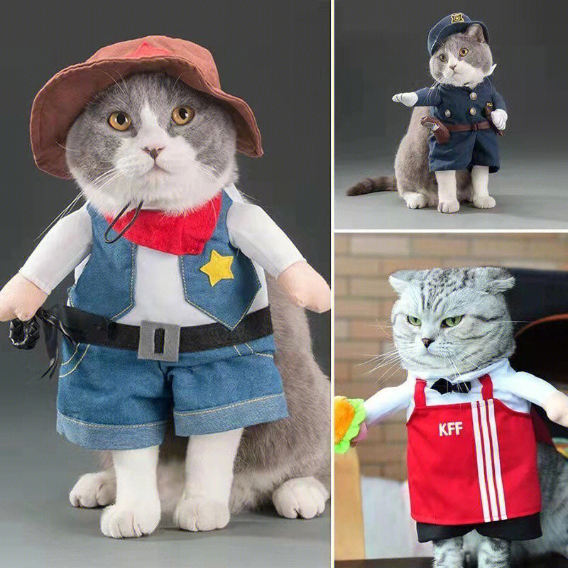 春秋宠物猫咪服饰可爱搞笑搞怪服装滑稽猫狗