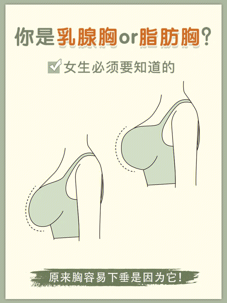 乳腺胸和脂肪胸区分图图片