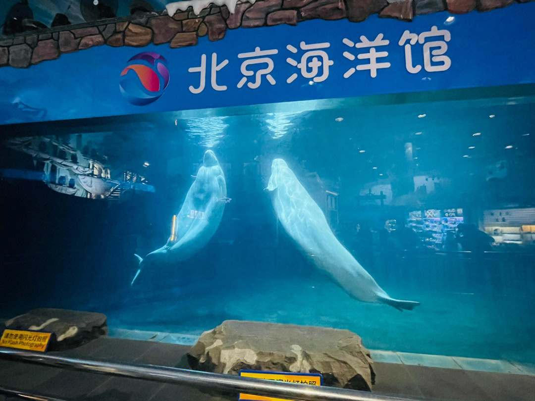 北京动物园海洋馆0300