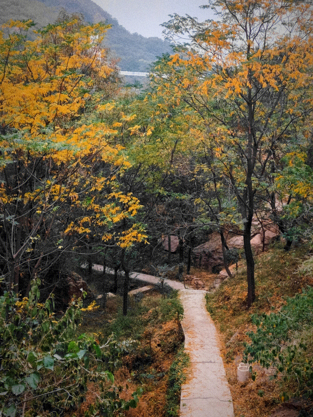 河南舞钢二郎山海拔图片