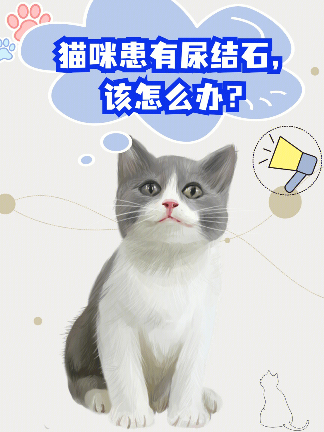 猫咪患有尿结石需要注意什么